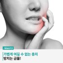 더프라임치과기공소 이미지