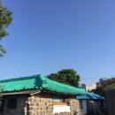 애월약국 이미지