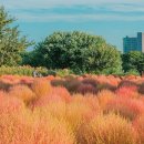 도시철도 3호선 만평역 이미지