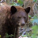 ROD Fitness 이미지