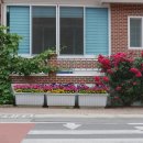 소천면사무소 이미지