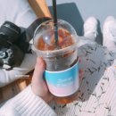 김해ZEN