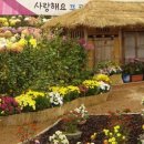 고향집2