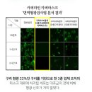 씨피엘(CPL) | [건강] 코로나 테스트 완료한 천마스크, 카퍼마스크