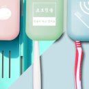 이즈와이솔루션