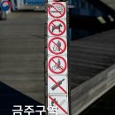 알리미술