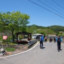 [산포로기행 금북정맥 충남 공주시 유구읍 덕곡리 소지재-부엉산-천방산-봉수산-광덕산삼거리-태화산-충남 공주시 정안면 산성리 주막거리]14년 5월 3일 이미지