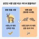 주성프라자 앞 | 공진단 사향, 영묘사향(영묘향), 서사향 뭐가 다른가요?