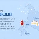 백만홈 티스토리