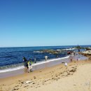 외옹치 해수욕장 이미지