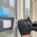 강아지 미장원 이미지