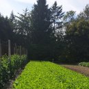 미성농장 이미지