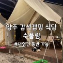 닥터존 동두천점 | 양주 대형견 동반 감성캠핑식당 수풀림에서 크리스마스 즐기기