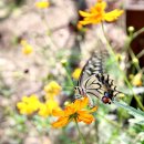 다솔관광농원 이미지