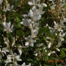 팔용산 체육공원 이미지