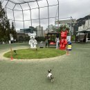 강아지놀이터 이미지