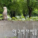 양구백자박물관 이미지