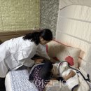 인천경기간병센터 - 9251 | 인천경기간병센터