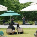 버스킹 아티스트 선발 오디션 <담빛 버스킹 데이> 이미지