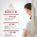 샤테라피 이미지