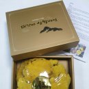 도담농장 이미지