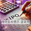 리코플러스유통 | 에이유브랜즈 공모주 청약, 투자해도 될까? 핵심 요약 가이드