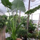 아로유통 이미지