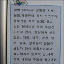 섬실