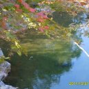 솔마루펜션 이미지