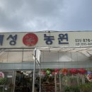 꽃단지농원 이미지