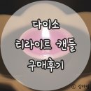 삼보식품문구 | 다이소 향초 티라이트 캔들 후기 :: 간편하게 사용하기 좋아요