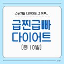 스위치온 이후 치팅 +3kg 그리고 급찐급빠 -2.5kg 후기