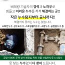 노블카운티약국 이미지