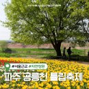 지사우체국 | 2026 파주 공릉천 튤립축제 가는법 실시간 개화현황 주말 방문 후기 (+주차장, 포토존)
