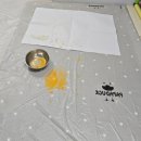 감각을 키우는 미술(B) | 과천 유아방문미술 집으로오는 홈문센 파파덕 10회차 탱글탱글 귤 후기