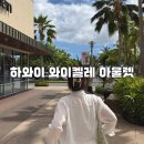 타미 | 하와이 아울렛 쇼핑 와이켈레 아울렛 폴로 타미 구매 후기