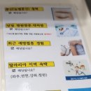 대한적십자사 동부혈액원 | 헌혈의집 서울적십자병원센터 헌혈 기념품 이벤트 꿀팁