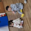 우르프 (톡톡톡 동화 듣고 표현해요) 이미지