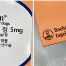 경남 마산 동물약국 이미지