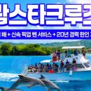 돌핀 이미지