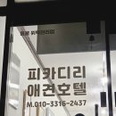 피카디리 애견호텔 이미지