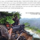 96포병대대