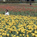 낙동강변11 이미지