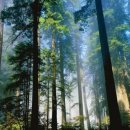 호근동-5 이미지