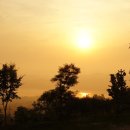 봉수산자연휴양림 이미지