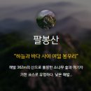 용현견과 이미지