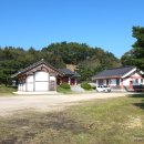 충화 팔충사 티스토리