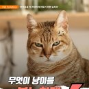 달래동물의료센터 이미지