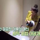 대륙세탁 이미지