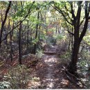 신영자동차공업사 이미지